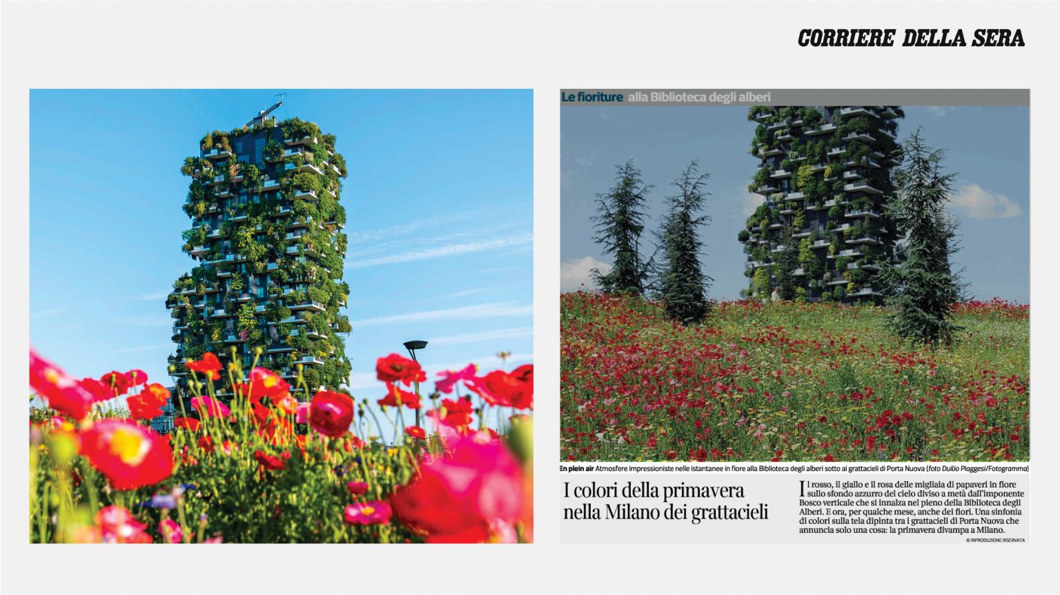 Corriere Della Sera Bosco Verticale Stefano Boeri Architetti