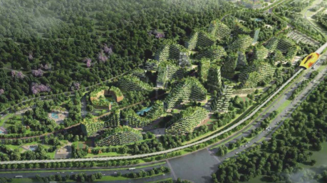 vanity fair, forests to make a city