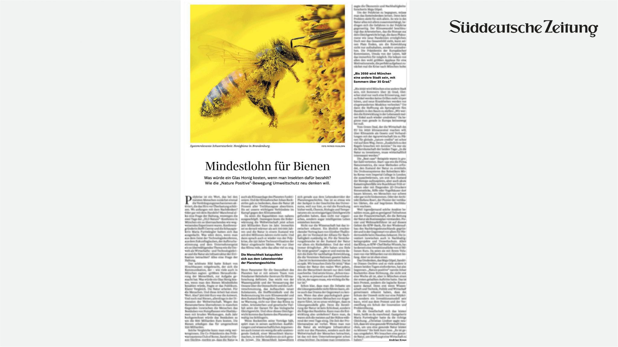 süddeutsche zeitung boeri